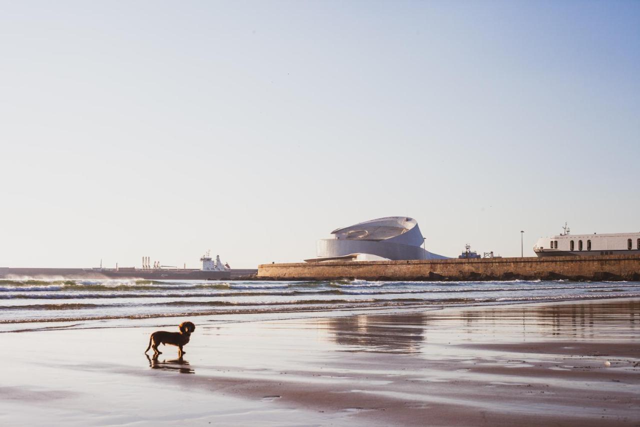 Oceanside Matosinhos - Ecohost Διαμέρισμα Εξωτερικό φωτογραφία
